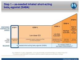 Bronchial Asthma And Asthma Control