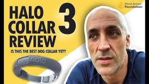 REVIEW OF THE AMAZING FEATURES OF HALO COLLAR 3 YOUR ULTIMATE VIRTUAL DOG  GPS FENCE