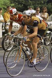 Each bike that bears the eddy merckx name is truly unique. Brand New Team Peugeot Yellow Cycling Jersey Tour De France Eddy Merckx Sporting Goods Thegripkingtv Cycling Clothing