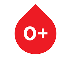 We did not find results for: Qu Est Ce Que Le Groupe Sanguin Canadian Blood Services