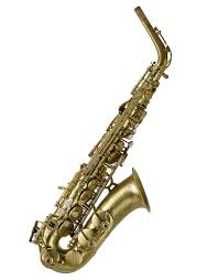 Image result for Commelina saxosa