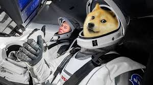 Elon musk is welcoming an investigation into his dogecoin tweets. Dogecoin Drops Elon Musk Will Re Launch It To The Moon Gamepressure Com