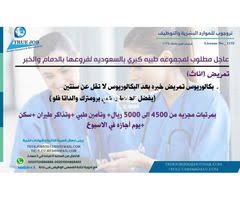 عاجل مطلوب لمجموعه هندسيه كبري medicine personal care health