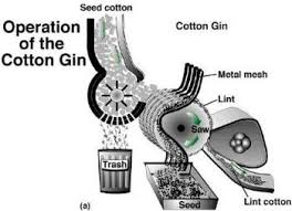 Cotton Cotton Gin Gin Cotton