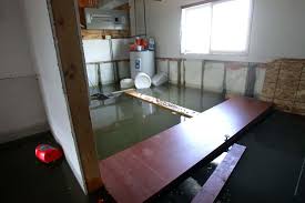 When required, a backwater valve will be the difference between a flooded basement filled with sewage and a clean and dry basement. Province Pulls Basement Flooding Subsidy From City Puts Program In Peril Winnipeg Free Press