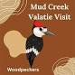 Mud Creek at Valatie Playgroup: Woodpeckers — event image