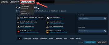 Steam support cannot vwrify this. A Steam Guide For Beginners To Get Started