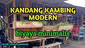 Akan tetapi ada patokan dasar yang bisa anda gunakan sebagai ukuran untuk membuat kandang kambing ini. Facebook