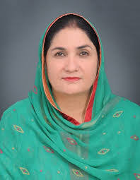 Shaista Khalid's Instagram, Twitter & Facebook