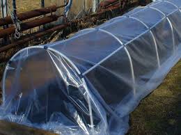 We did not find results for: Greenhouse Do It Yourself 92 Photos How To Make A Convenient Home Made Greenhouse For Peppers The Best Projects