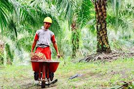 Check spelling or type a new query. Bona Halomoan Production Operator Pt Gudang Garam Tbk Linkedin
