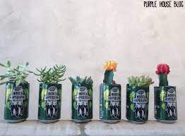 Adding baking soda will change the ph of tomato sauce, making it less acidic. Diy Beer Can Cactus Planter Purple House Blog