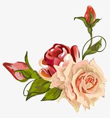 In the place of the outline, add in the. Garden Roses Centifolia Roses Flower Petal Drawing Garden Roses 779x800 Png Download Pngkit