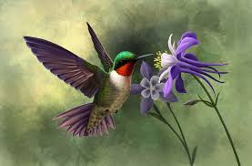 Ruby Throated Hummingbird By Nachiii Sinek Kusu Melek Sanat Tablolar