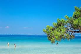 Check spelling or type a new query. 8essalonikh Kai Xalkidikh Urban A3io8eata H Buzzing Paralies Kampingk Xalkidikh Kampingk Sanh Camping Blue Dream