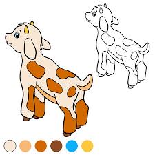 The course will teach you things like: Malvorlage Color Me Pferd Kleine Niedliche Fohlen Geht Und Lachelt Lizenzfrei Nutzbare Vektorgrafiken Clip Arts Illustrationen Image 59773669