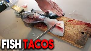 Today, i'm going to break down the quick and straightforward process of frying and assembling fish tacos. Catch And Cook Fish Tacos Freshwater Crappie Youtube