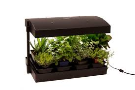 Another great brand is the sunblaster cfl self. Sunblaster Grow Light Garden Homegrown Hydroponics