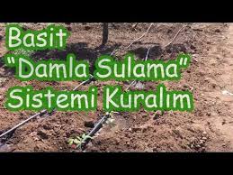 Bahcemize Damla Sulama Sistemi Yapalim Youtube