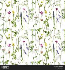 Library card number or ez username pin or ez password. Seamless Pattern Image Photo Free Trial Bigstock