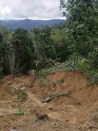 Dua maut dalam kejadian tanah runtuh di sebuah resort pelancongan. Kejadian Tanah Runtuh Di Kampung Wilfred Madius Tangau Facebook