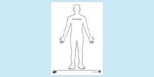 Color the body organs (learn english) lungs. Free Colouring Page For Human Body Colouring Sheets