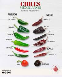 Mexican Chili Peppers Fresh Vs Roasted Infographics