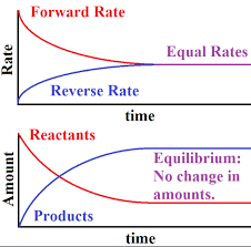It covers changes to the position of equilibrium if you change concentration. Chemical Equilibrium First Year General Chemistry