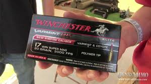 at the range winchester 17 hmr vs 17 wsm