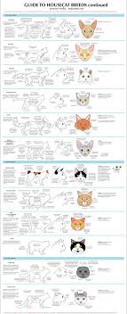 to view both parts of this chart together in full size you