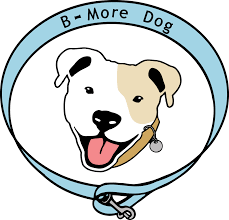 Maybe you would like to learn more about one of these? Low Cost Vaccine Clinics B More Dog