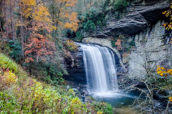 Looking Glass Falls - All You SHOULD Know Before Going (2026 Reviews)