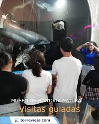 Keeper Bar - Live Webcam - Torrevieja.com portal de turismo