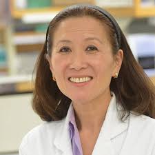 Linda Liau, M.D., Ph.D.
