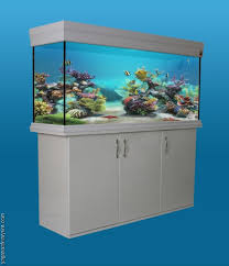100 Cm X 40 Cm X 50cm Ozel Mobilyali Akvaryum Sancaktepe Petshop Flamingo Petshop Atasehirpetshop