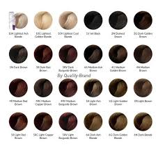Chi Ionic Permanent Shine Hair Color Chart Google Search