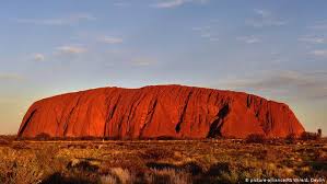 Mengapa benua australia memiliki banyak keunikan flora dan fauna. Mengapa Benua Australia Memiliki Banyak Keunikan Flora Dan Faunanya Kami