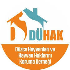 Duhak Dernegi On Twitter Duzce Sahiplendirme Annesiz Buyuttugumuz Iki Erkek Yavru Kediye Yuva Ariyoruz Etiket Ve Rt Destegiyle Onlari Omurluk Yuvalarina Kavusturmamiza Yardimci Olabilirsiniz Duzce Kedisahiplenme Kedi Kediaski