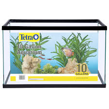 Top 10 tank mates for betta fish. Tetra Glass Aquarium 10 Gallon Fish Aquariums Petsmart