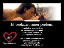 El Verdadero Amor Perdona Te Quiero Mucho Www Tangojuntos Com Love Quotes Quotes Sentimental