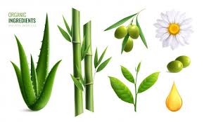 Download Colored Realistic Organic Cosmetics Ingredients Icon Set With Aloe Olive Oil Bamboo Chamomile Vector Illustration For Free In 2020 Organic Cosmetics Icon Set Vector Illustration