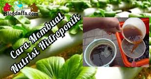 Check spelling or type a new query. Cara Membuat Nutrisi Hidroponik Dari Bahan Organik Di Sekitar Rumah Blogdaffa Com