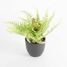 Image result for ledviník