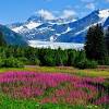 Https Encrypted Tbn0 Gstatic Com Images Q Tbn And9gcr2ro2 Pxfgckya7m Kcpa2sfeir9jqqym8ruklr Pgoatlqvbz Usqp Cau