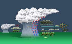 Amazon Rainstorms Transport Atmospheric Particles For Cloud Formation