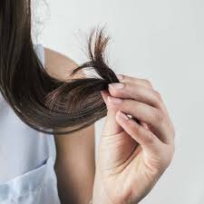 Wash your hair less often. 5 Signs You Have Dry Damaged Hair And How To Repair It