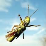 Check spelling or type a new query. Erek Erek Archives Teras Mimpi