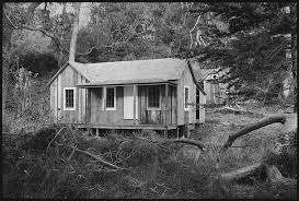 Maybe you would like to learn more about one of these? Restoration Underway At Lairds Landing The Point Reyes Light