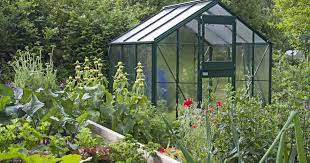 Die vorhandene höhe ermöglicht ihnen auch das aufrechte gärtnern. Gewachshaus Kaufen 5 Tipps Mein Schoner Garten