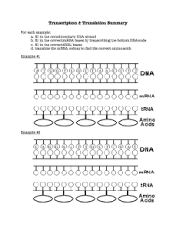 Maybe you would like to learn more about one of these? Sbi4u Mutations Worksheet Answers 1 Below Is Robertschem